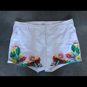 Plus size women’s shorts
